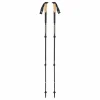 Fizan Alpine Carbon Cork Trekking Poles