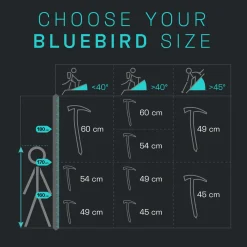 Black Diamond Bluebird Ice Axe