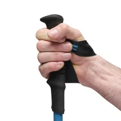 Black Diamond Distance Carbon FLZ Trekking Poles