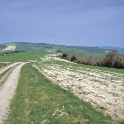 Harvey Maps The South Downs Way 2024