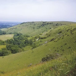 Harvey Maps The South Downs Way 2024