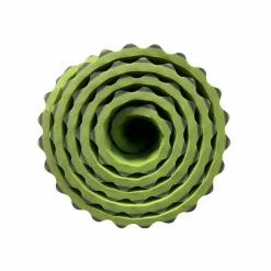 Big Agnes TwisterCane Bio Foam Regular Sleeping Mat
